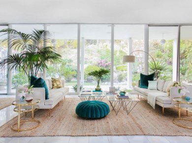 Bring the Jungle Inside