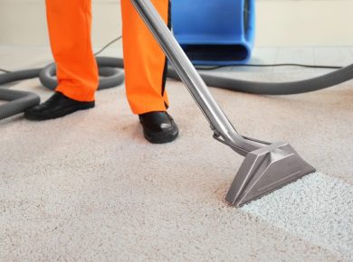 Professional Cleaning Services for Carpet cleaners