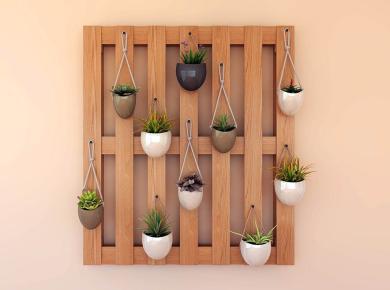 Wall Decorations Plants- The Ultimate Guide to Transforming Your Living Space