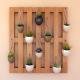 Wall Decorations Plants- The Ultimate Guide to Transforming Your Living Space