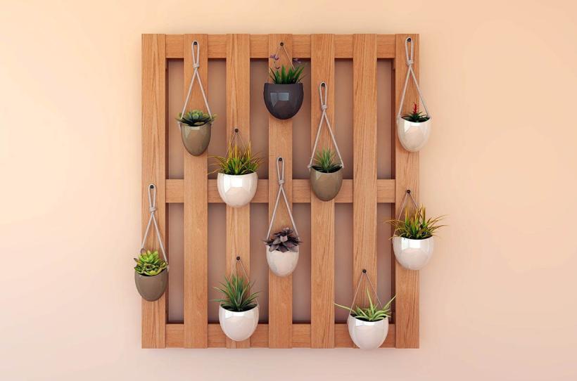 Wall Decorations Plants- The Ultimate Guide to Transforming Your Living Space