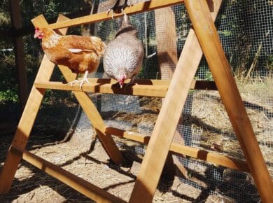 Chicken Roosting Bars