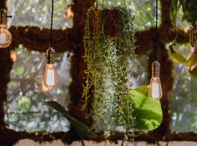 How to Hang Plants From Ceiling without Drilling